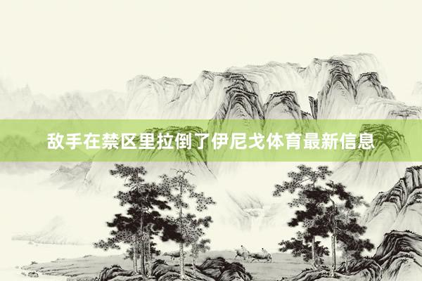 敌手在禁区里拉倒了伊尼戈体育最新信息