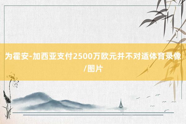 为霍安-加西亚支付2500万欧元并不对适体育录像/图片
