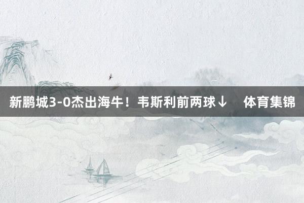 新鹏城3-0杰出海牛！韦斯利前两球↓    体育集锦