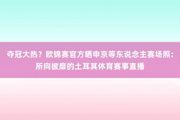 夺冠大热？欧锦赛官方晒申京等东说念主赛场照：所向披靡的土耳其体育赛事直播