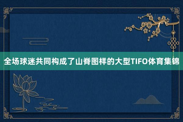 全场球迷共同构成了山脊图样的大型TIFO体育集锦