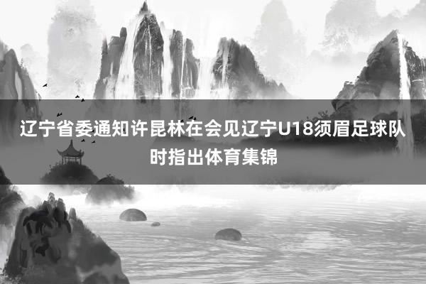 辽宁省委通知许昆林在会见辽宁U18须眉足球队时指出体育集锦