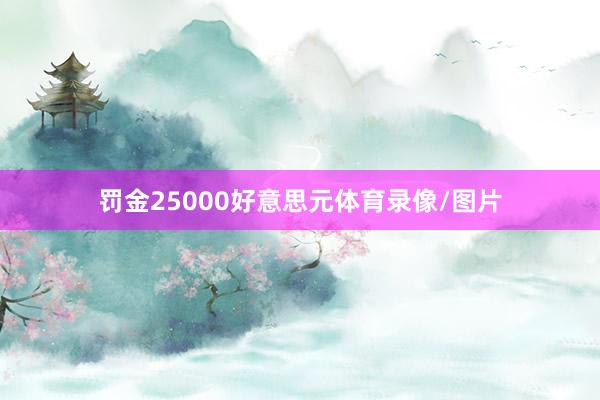 罚金25000好意思元体育录像/图片