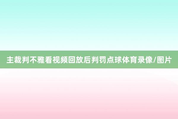 主裁判不雅看视频回放后判罚点球体育录像/图片