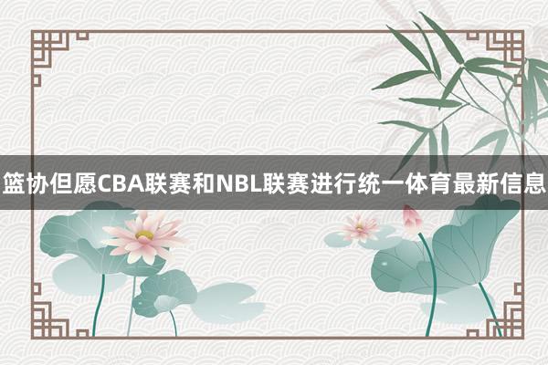 篮协但愿CBA联赛和NBL联赛进行统一体育最新信息